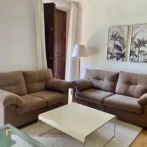 Apartamento Centro- San Agustin, Granada